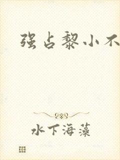 强占黎小不