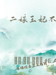 二嫁王妃不好惹