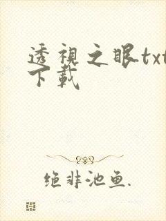 透视之眼txt下载