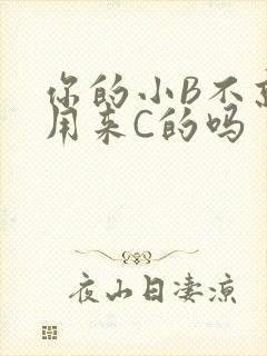 你的小B不就是用来C的吗