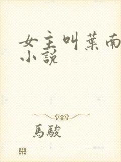 女主叫叶南初的小说