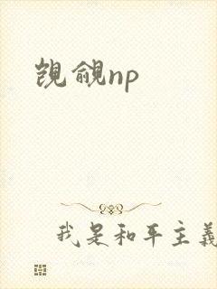 觊觎np