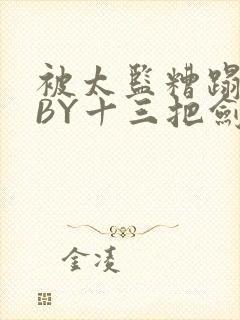 被太监糟蹋之后BY十三把剑