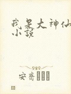 我是大神仙时江小说