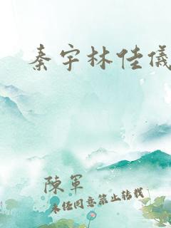 秦宇林佳仪小说