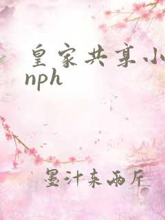 皇家共享小公主nph