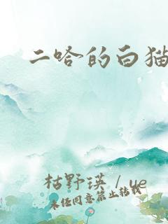 二哈的白猫师尊