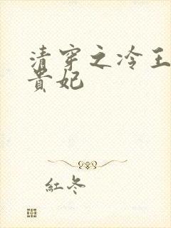 清穿之冷王的皇贵妃
