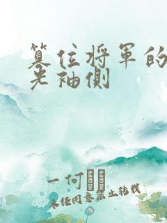 篡位将军的白月光袖侧