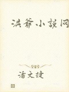 洪爷小说网