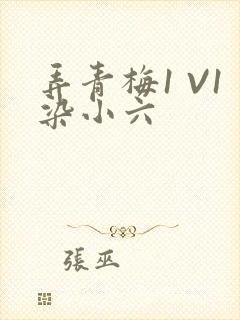 弄青梅1 V1染小六