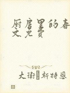 厨房里的春天全文免费