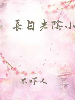长日光阴小说