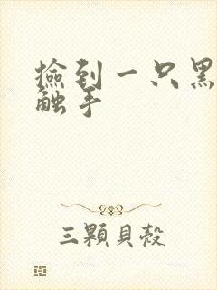 捡到一只黑心小触手