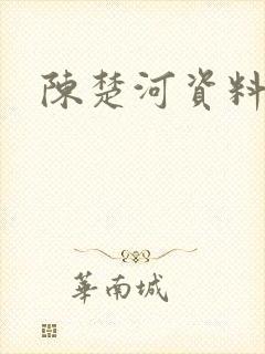 陈楚河资料