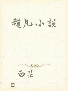赵凡小说