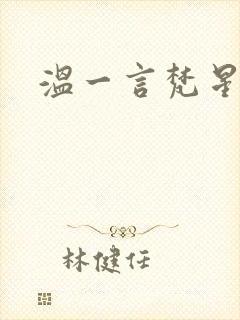 温一言梵星小说