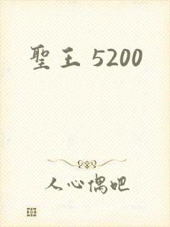 圣王 5200