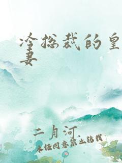 冷总裁的皇后暖妻