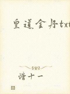 皇道金丹txt