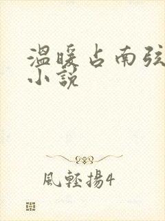 温暖占南弦尹衿小说