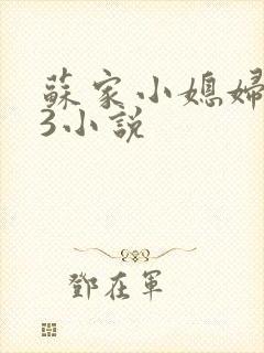 苏家小媳妇1V3小说