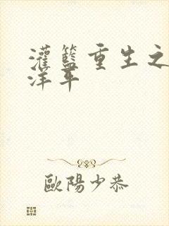 灌篮重生之水户洋平