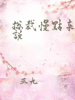 总裁慢点来 小说