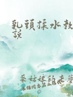 乳头揉水教室小说