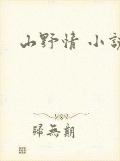 山野情 小说