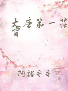 大唐第一庄无弹窗
