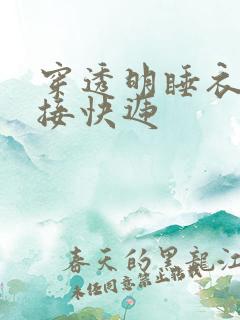 穿透明睡衣开门接快递