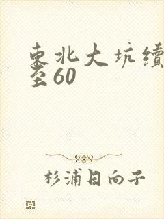 东北大坑续集1至60