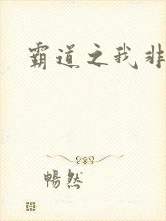 霸道之我非英雄