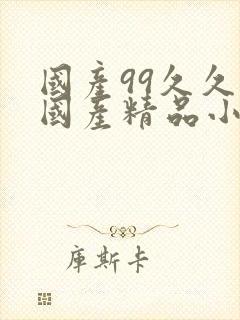 国产99久久久国产精品小说