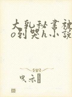 大乳秘书被cao到哭h小说