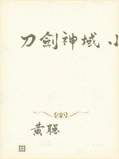 刀剑神域 小说
