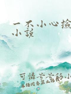 一不小心捡到爱小说