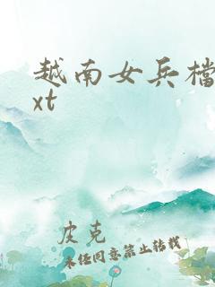 越南女兵档案txt