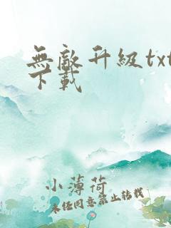 无敌升级txt下载