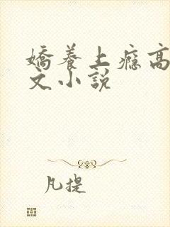 娇养上瘾高H爽文小说