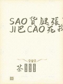 SAO货腿张开JI巴CAO死我