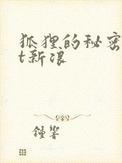 狐狸的秘密txt新浪