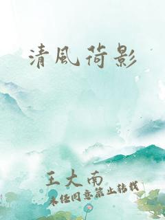 清风荷影