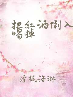 把红酒倒入b里喝掉