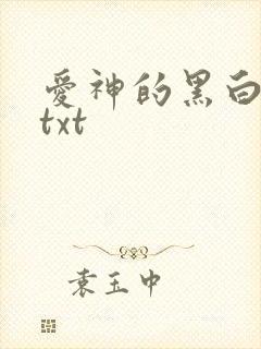 爱神的黑白羽翼txt