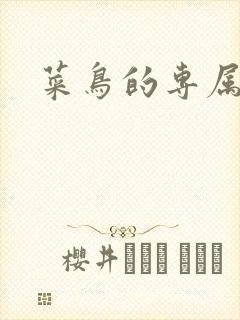 菜鸟的专属大神