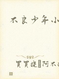 不良少年小说