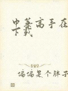 中华高手在异世下载