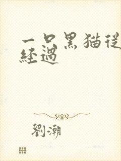 一只黑猫从眼前经过